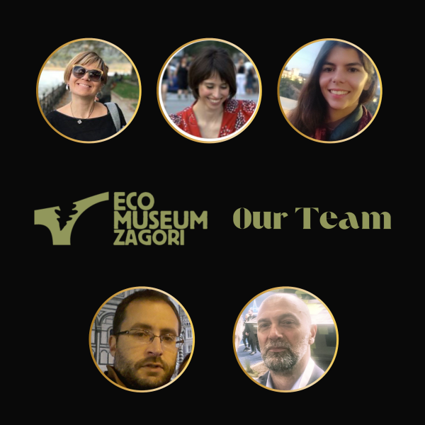 Our_Team_-_Dimitra_Papaioannidou.png